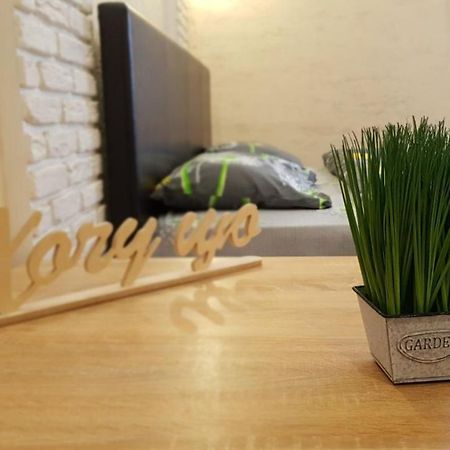 New Luxury Studio Apartment Ивано-Франковск Экстерьер фото